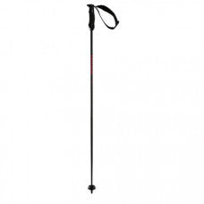 Bastones RENTASTICK CARBON POLES colour coded