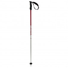 Bastones RENTASTICK KIDS POLES colour coded